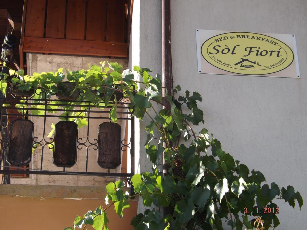 B&B Sòl Fiorì Agordo Exterior foto